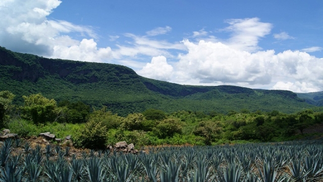 Rancho el venado